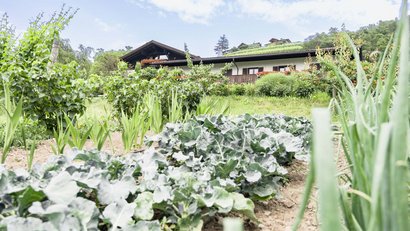 Pacherhof Hotel & Winery: Ferien mit Charakter